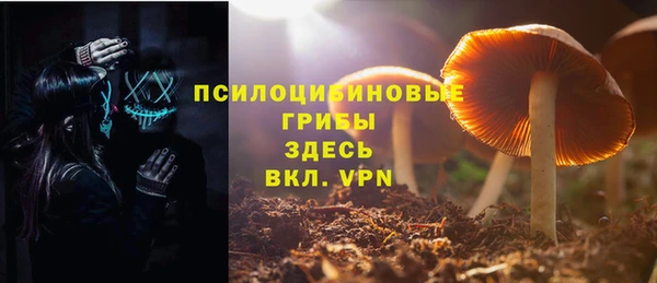 гидра Алексин