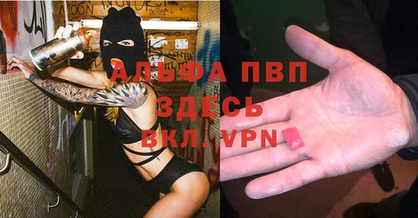 гидра Алексин