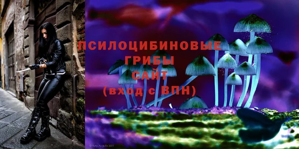 гидра Алексин