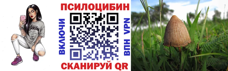 Псилоцибиновые грибы Psilocybine cubensis  Аргун 